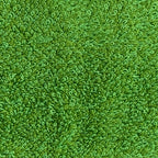 Logo Sauna Hat green image