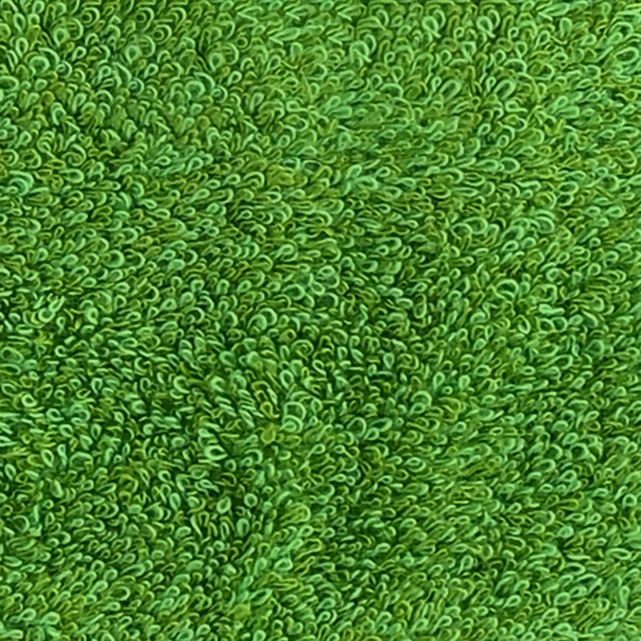 Logo Sauna Hat green image